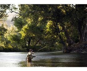 Fly Fishing Tumut - Tourism Search 1