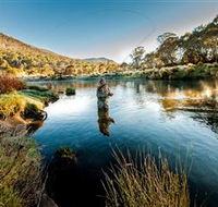 Fly Fishing Tumut - Tourism Search