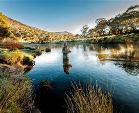 Fly Fishing Tumut - Tourism Search 0
