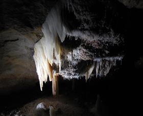 Country Charmâ„¢ Discovery Tours - Tourism Search 1