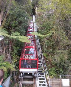 Country Charmâ„¢ Discovery Tours - Tourism Search 6