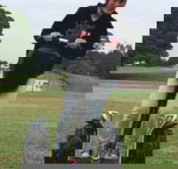 Segway Tours Australia - Tourism Search