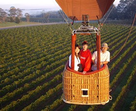Cloud 9 Balloon Flights - Tourism Search 3