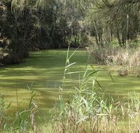 Second Ponds Creek walk - Tourism Search