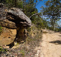 Canoelands Ridge walking track - Tourism Search
