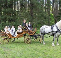 Classic Carriage Drives - Tourism Search
