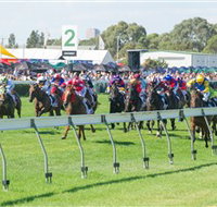 Morphettville Racecourse - Tourism Search