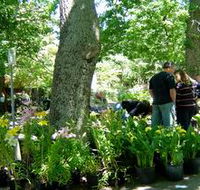 The Stirling Market - Tourism Search