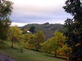 Nirvana Organic Produce And Farm - Tourism Search 2