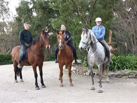 Mount George SA Tourism Search