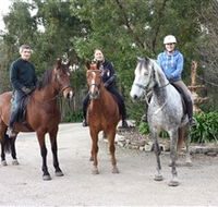 Academy of Dressage - Tourism Search