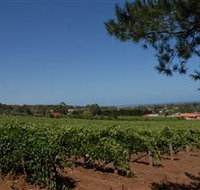 Grancari - Tourism Search