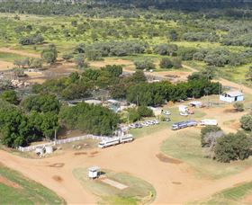 Blackall Saleyards - Tourism Search 0
