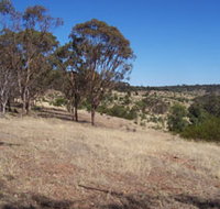 Onkaparinga River National Park - Tourism Search