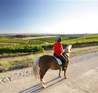 Kidman Trail - Tourism Search