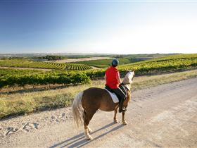 Kidman Trail - Tourism Search 0