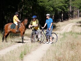 Kidman Trail - Tourism Search 1