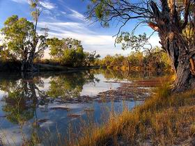Murray River National Park - Tourism Search 0