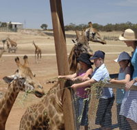 Monarto Open Range Zoo - Tourism Search