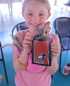 Top Didj Cultural Experience & Art Gallery - Tourism Search 2