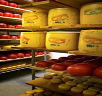 Alexandrina Cheese Company - Tourism Search