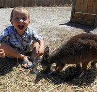 Animal Farm Goolwa - Tourism Search