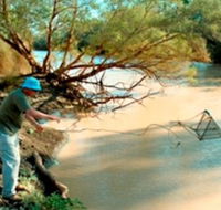 Charleville - Ward River Fishing Spot - Tourism Search