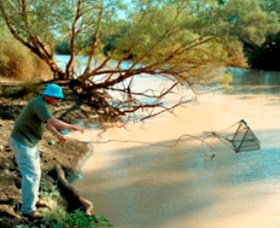 Charleville - Ward River Fishing Spot - Tourism Search 0