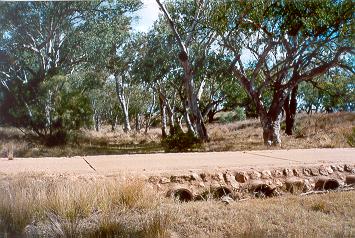 Charleville - Ward River Fishing Spot - Tourism Search 1