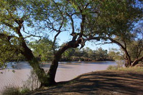 Charleville - Bakers Bend Warrego River Fishing Spot - Tourism Search 1