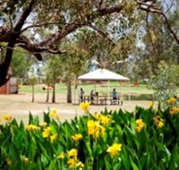 Charleville - Graham Andrews Parklands - Tourism Search