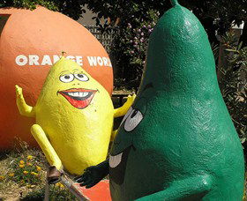 Orange World - Tourism Search 0