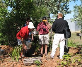 Mount Surprise Gems - Tourism Search 2