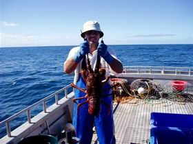 Lacepede Seafood - Tourism Search 2