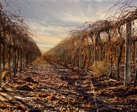 Andrew Peace Wines - Tourism Search 2