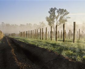 Andrew Peace Wines - Tourism Search 5