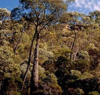 Ka Ka Mundi Carnarvon National Park - Tourism Search