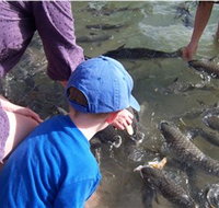 Aquascene - Tourism Search