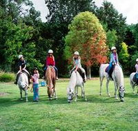 Limestone Coast Horseriding - Tourism Search