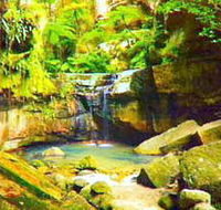 Carnarvon Gorge Carnarvon National Park - Tourism Search