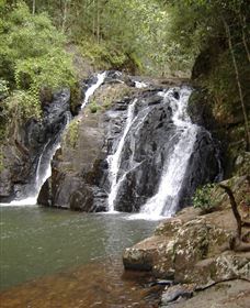 Pepina Falls - Tourism Search 0