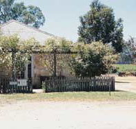 Kidman Wines - Tourism Search