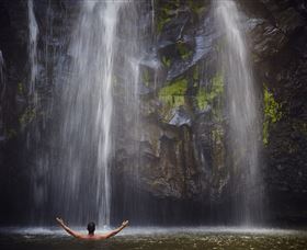 Ellinjaa Falls - Tourism Search 0