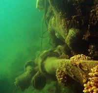 Wreck Diving at Magnetic Island - Tourism Search