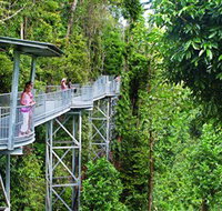 Mamu Tropical Skywalk - Tourism Search