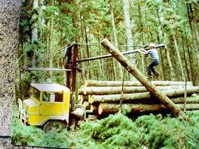 Nangwarry Forestry And Logging Museum - Tourism Search 3