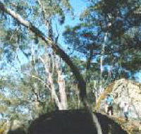 Dergholm State Park - Tourism Search