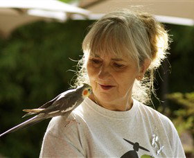 Barraport ACT Tourism Search