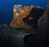 Lady Bowen Dive Site - Tourism Search