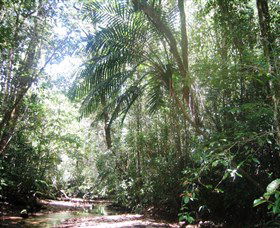 Mount Lewis National Park - Tourism Search 0